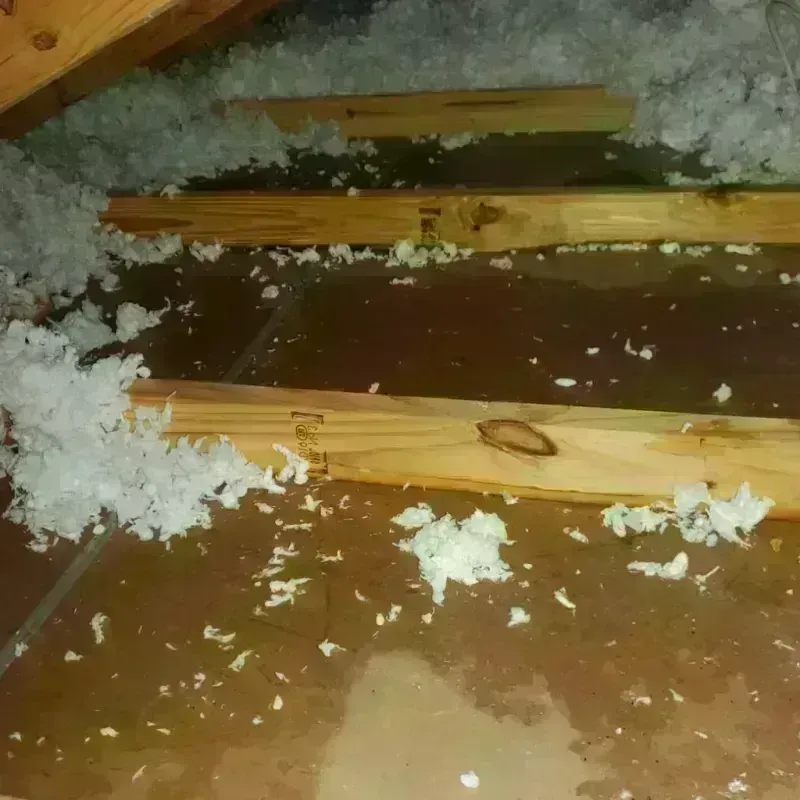 Attic Water Damage in Pacifica, CA