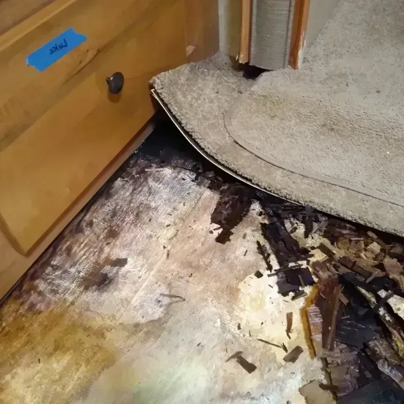 Wood Floor Water Damage in Pacifica, CA